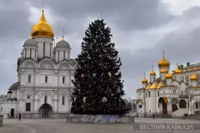 Russia's main national Christmas tree lit up in Kremlin