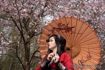 Цветение сакуры в Бирюлевском дендропарке