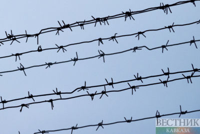 Колючая проволока