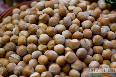 Azerbaijan exported nearly 171 million dollars worth of hazelnuts