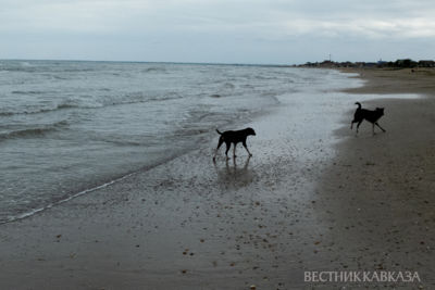 Overnight earthquake shakes Caspian Sea