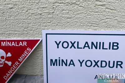 Azerbaijan clears over 270,000 ha of liberated territories of mines