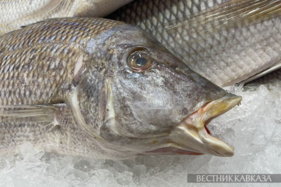 Russia bans fish imports from all Armenia
