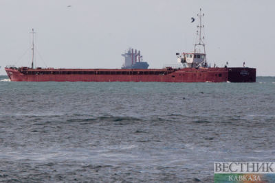 Daily oil volume transported through Strait of Hormuz revealed
