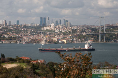 Türkiye works on new grain deal with Russia and Ukraine Türkiye works on new grain deal with Russia and Ukraine