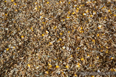 Russian grain exports to China reach record high
