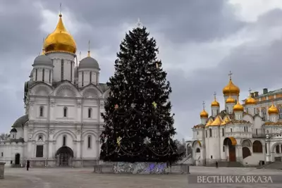Russia's main national Christmas tree lit up in Kremlin