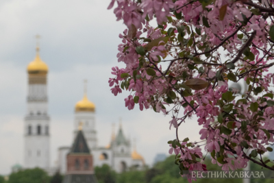 Spring in Moscow 2026: Lilacs, Apple and Cherry Blossoms, and Tulips in Russia's capital